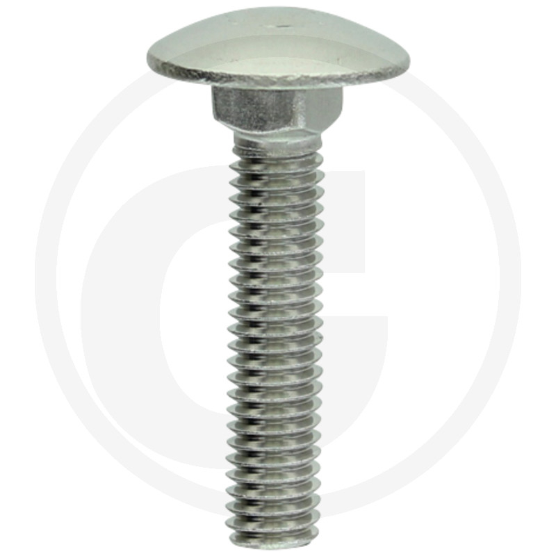 Schlossschraube,DIN603,V2A,M06x030,VE:1
